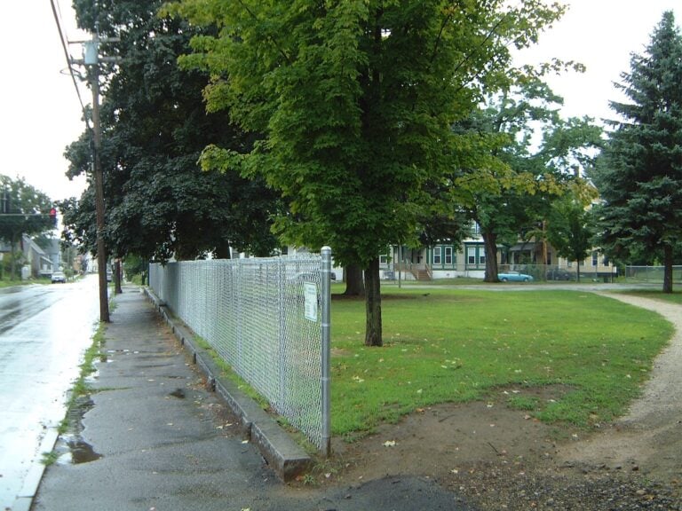 Galvanized Chain Link