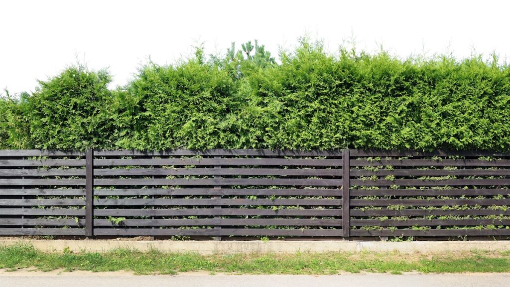 horizontal wood fence in front of a green bush