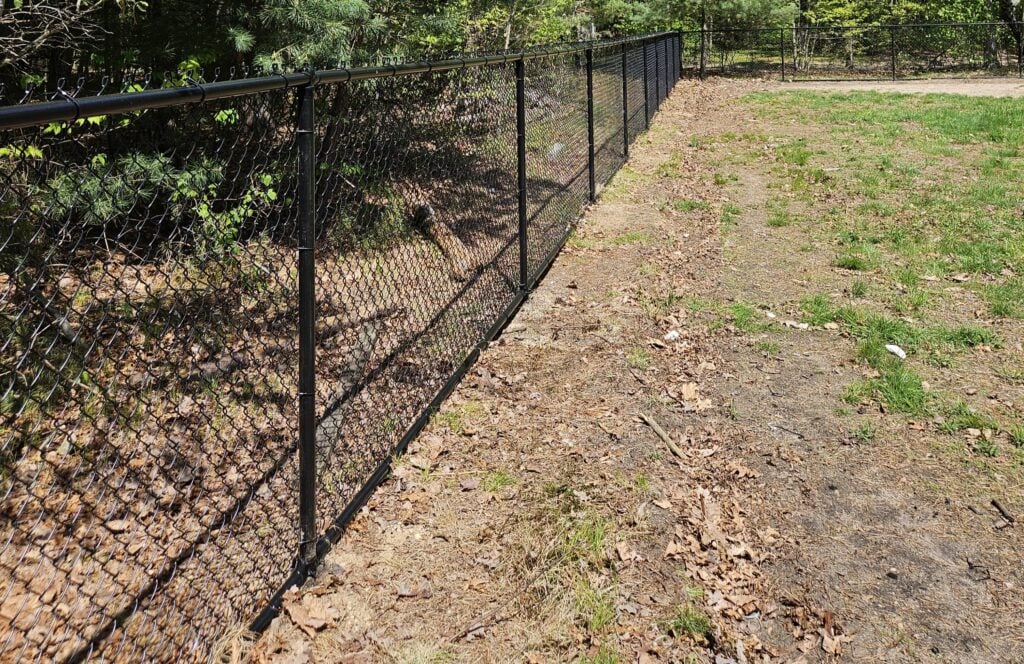 black chainlink fence