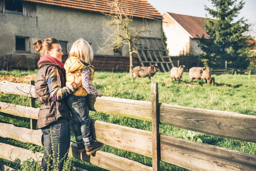 Mother and young child sitting on a wooden farm fence watching sheep graze in a green pasture
