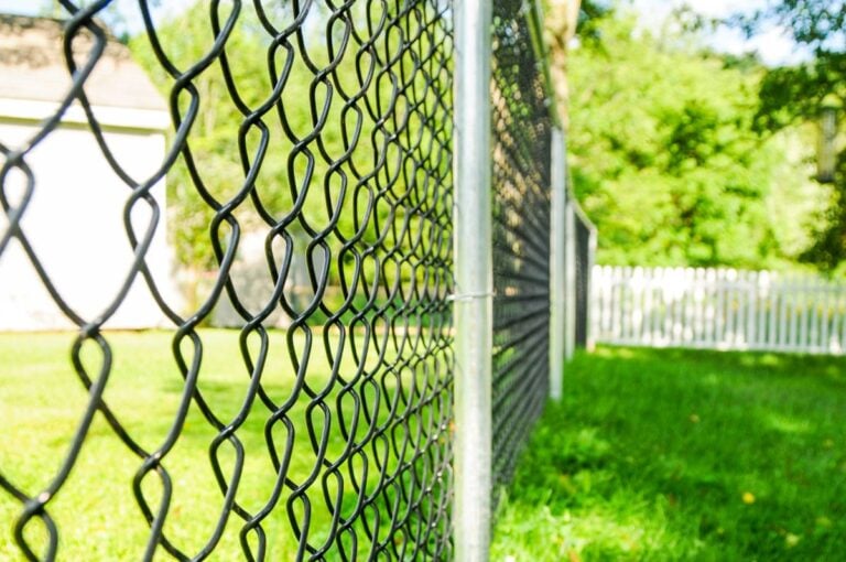 A chain link fence extends across a residential yard