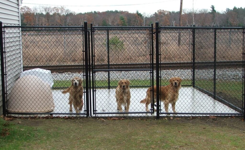 Dog Kennel w Gate