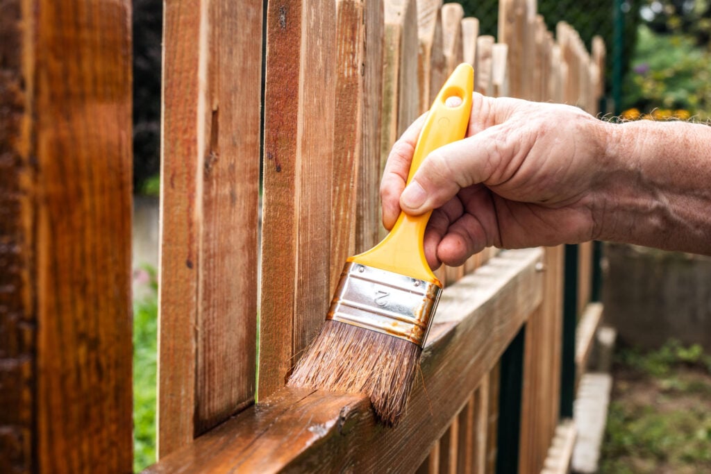 Painting wooden fence with varnish in a backyard